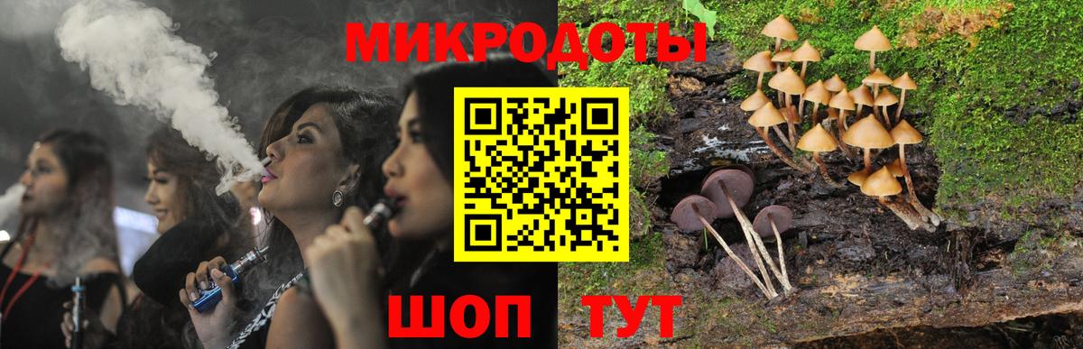Владивосток  Галлюциногенные грибы Cubensis  закладка  Вход с VPN 